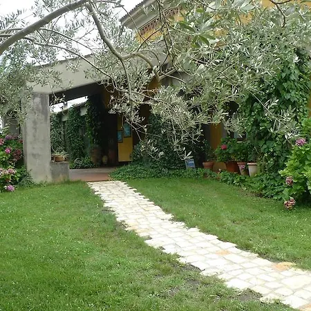 Le Ninfee * Cassino