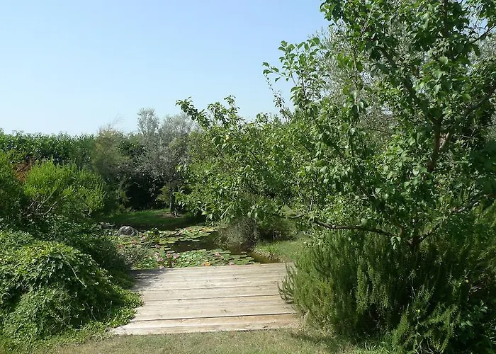住宿加早餐酒店 宁费住宿加早餐旅馆 卡西诺