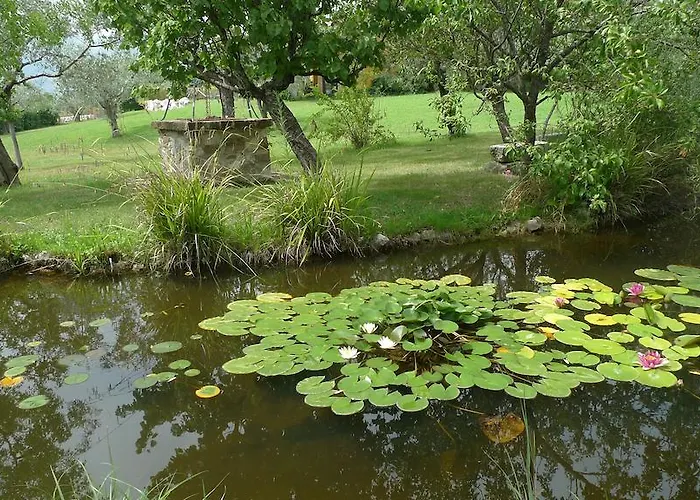 宁费住宿加早餐旅馆 3* 卡西诺